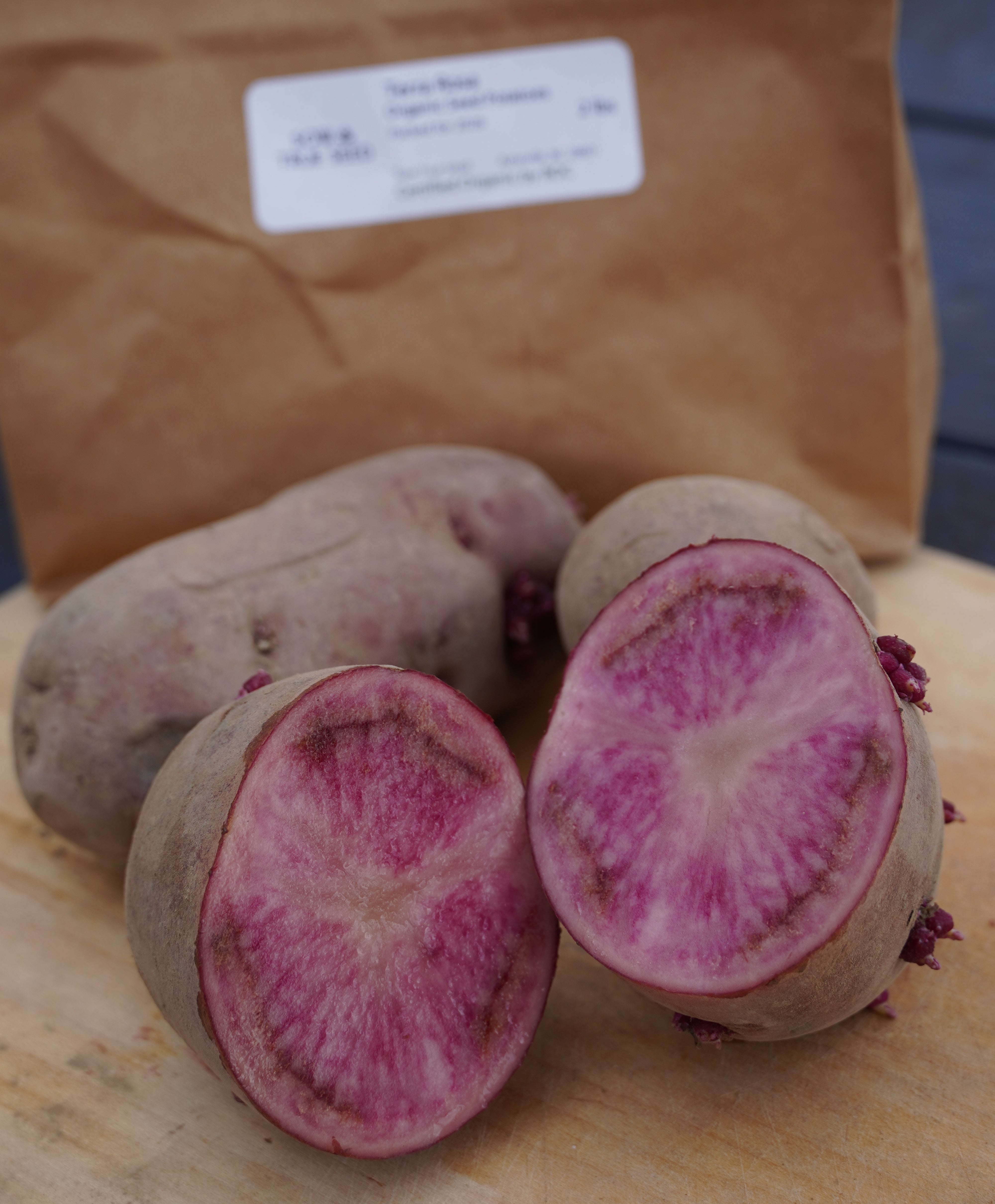Luna Rosa Potato Terra Rosa Organically Grown Seed Potato | Sow True Seed | Open-Pollinated