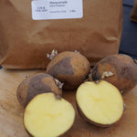 Masquerade Potato, Naturally Grown - Sow True Seed