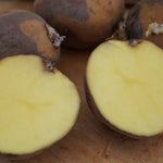 Masquerade Potato, Naturally Grown - Sow True Seed