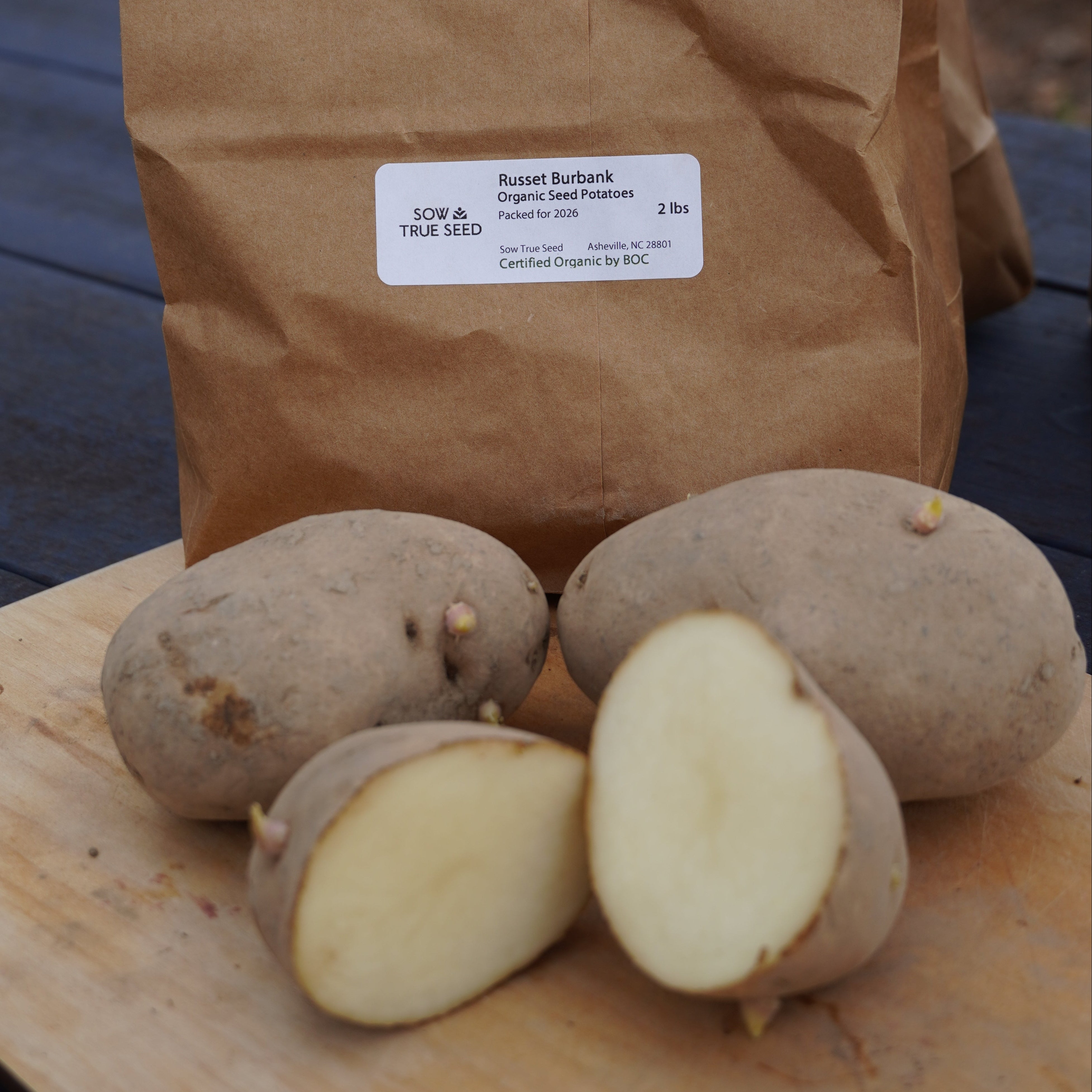 Russet Burbank Potato, ORGANIC - Sow True Seed