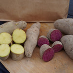 Fingerling Potato Bundle, ORGANIC - Sow True Seed