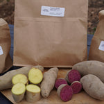 Fingerling Potato Bundle, ORGANIC - Sow True Seed