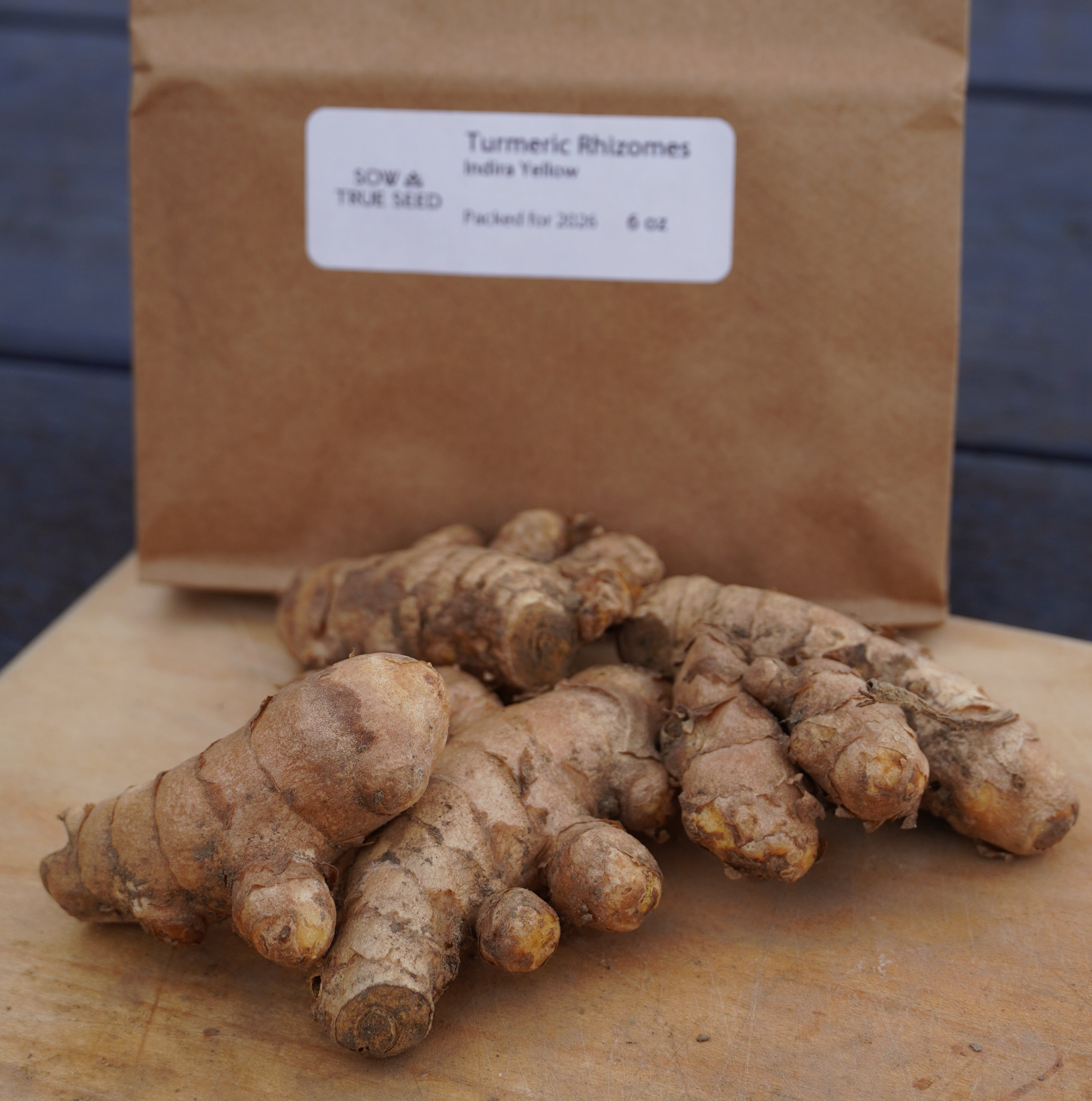Turmeric Rhizomes - Indira Yellow, 6 oz. - Sow True Seed