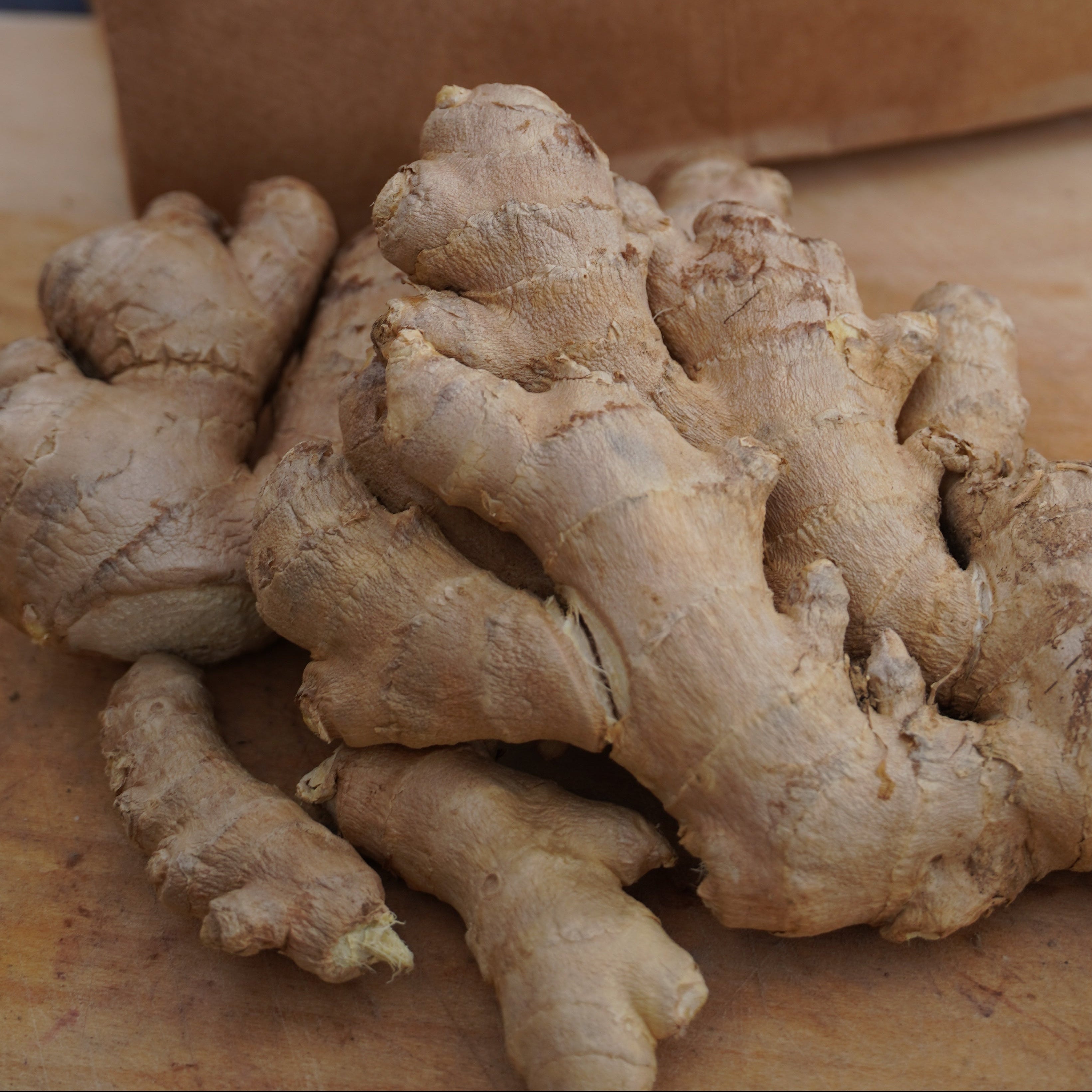 Ginger Rhizomes - Yellow, 6 oz. - Sow True Seed