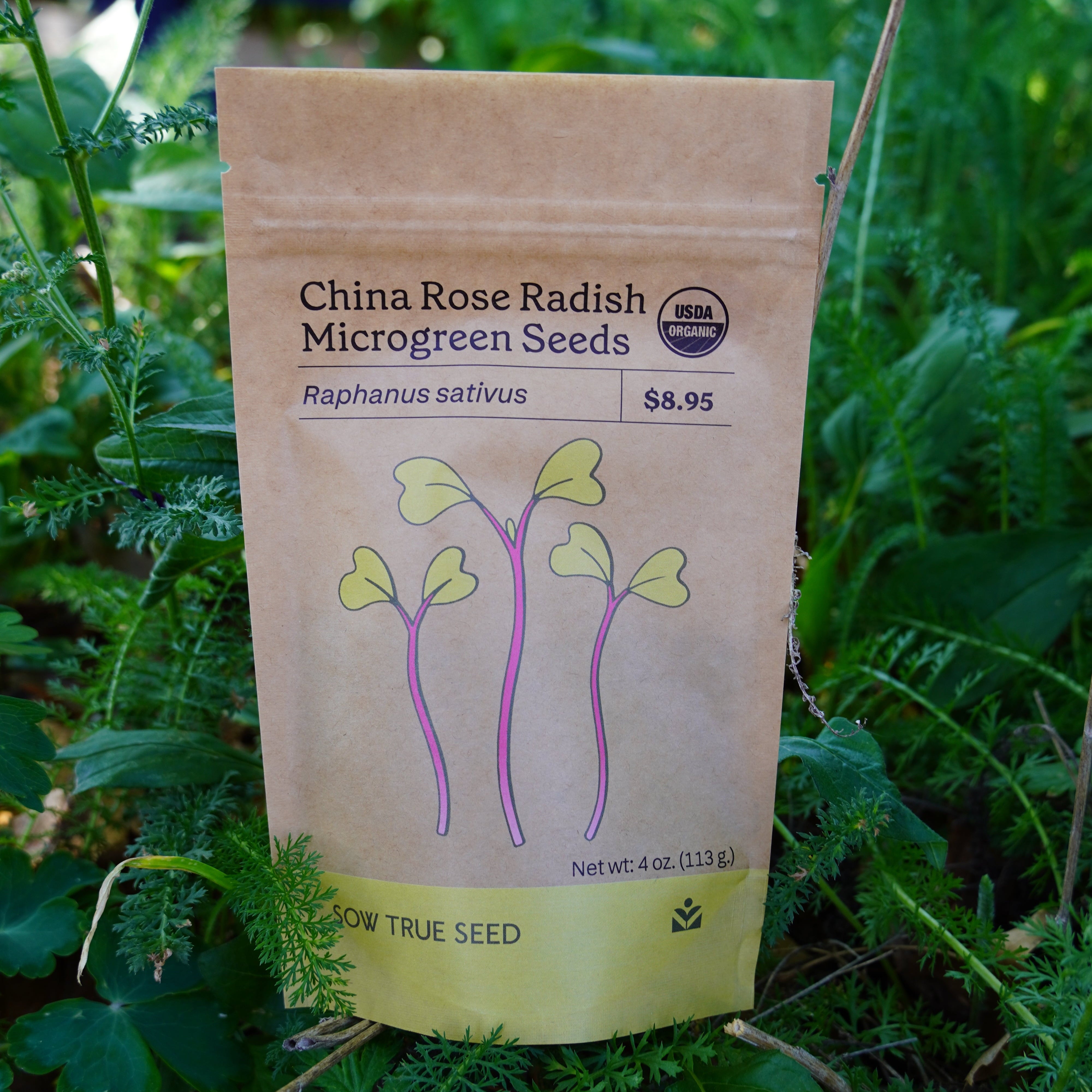 plant seeds from china China Rose Radish Microgreen Seeds | Sow True Seed