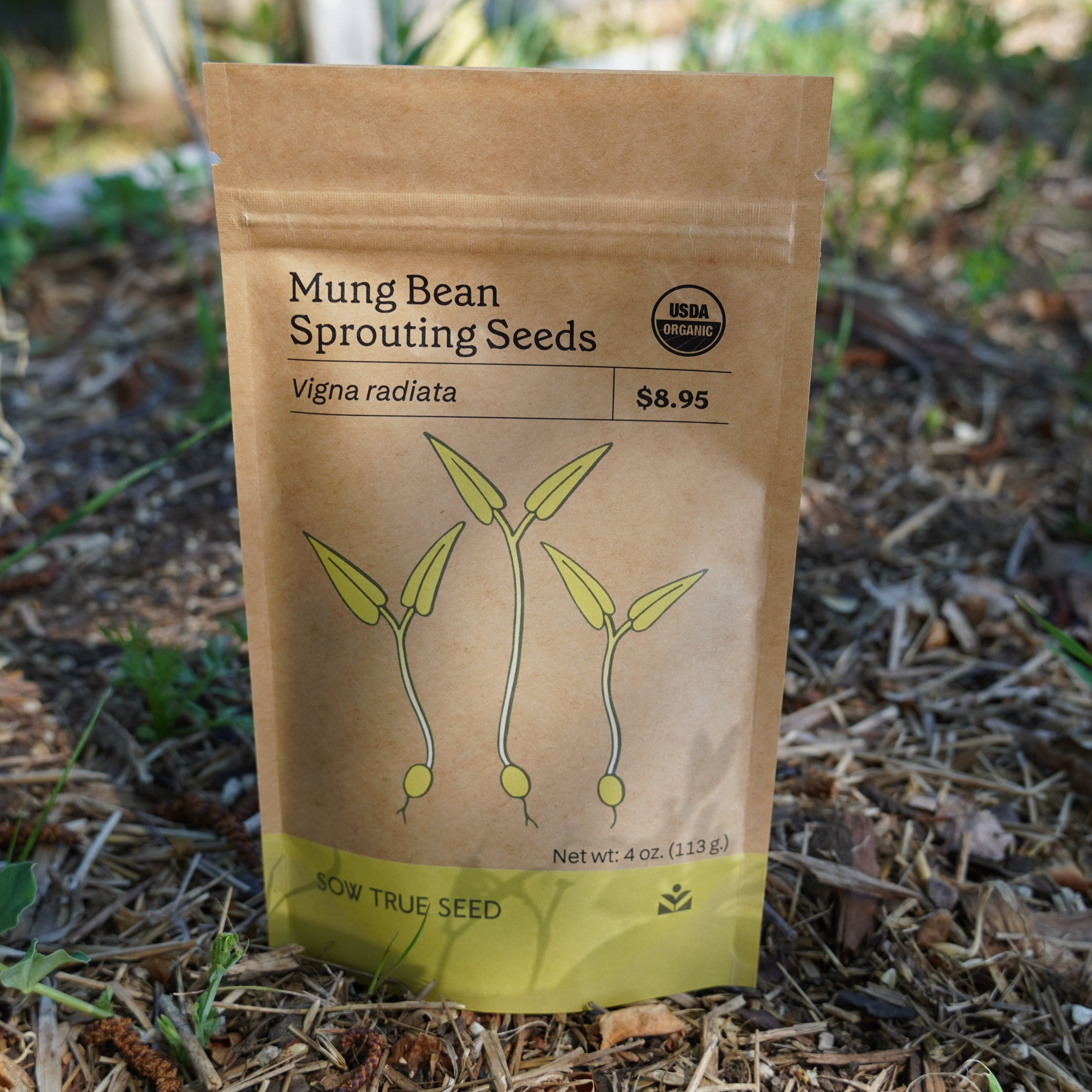 Sprouting Seed - Mung Bean, ORGANIC - Sow True Seed