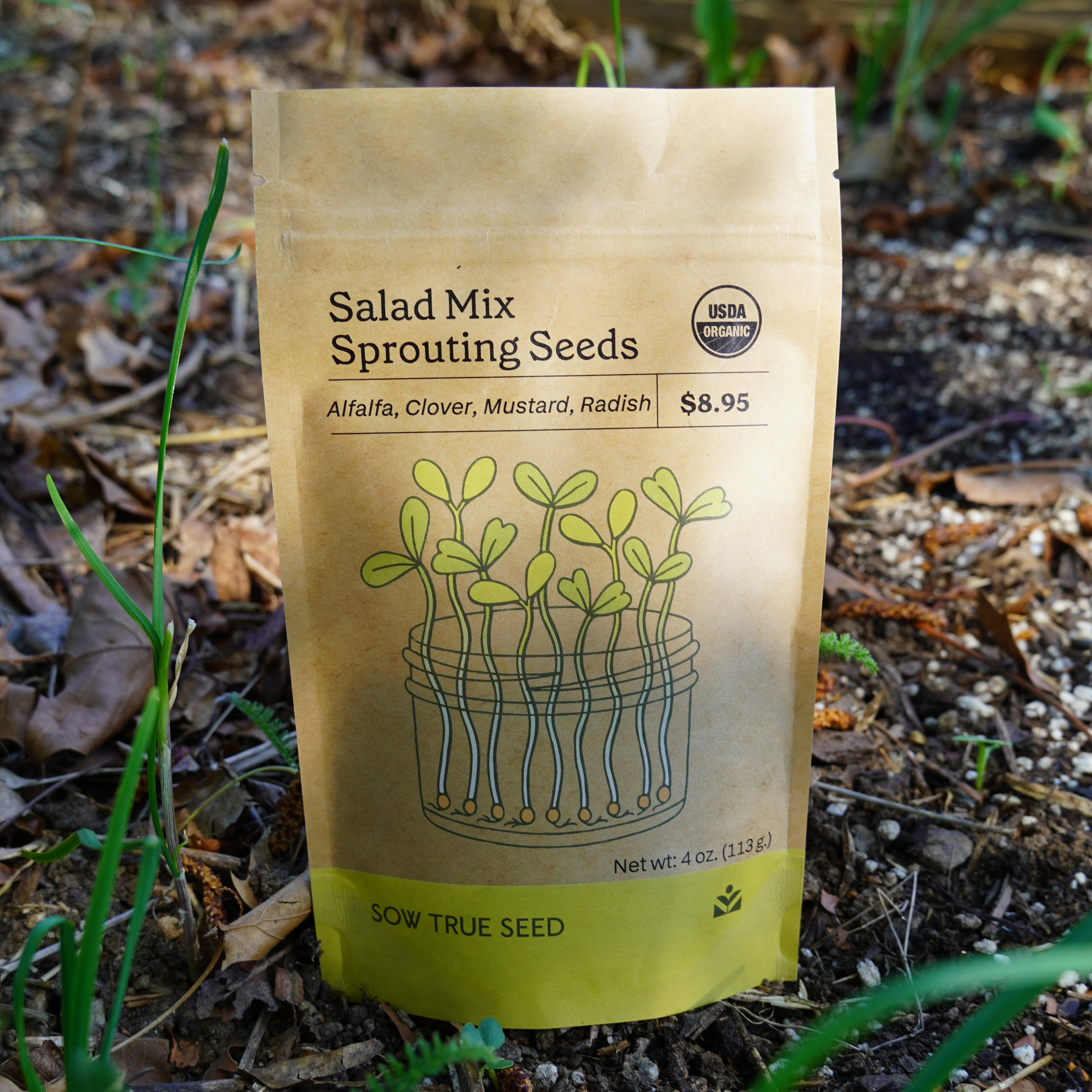 sprouting seeds to plant Sprouting Seed