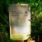 Sprouting Seed - Alfalfa, ORGANIC - Sow True Seed