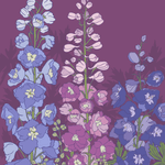 Delphinium Seeds - Larkspur Giant Imperial Mix - Sow True Seed