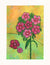 Dianthus Seeds - Sweet William Single Mix