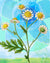 Feverfew Seeds
