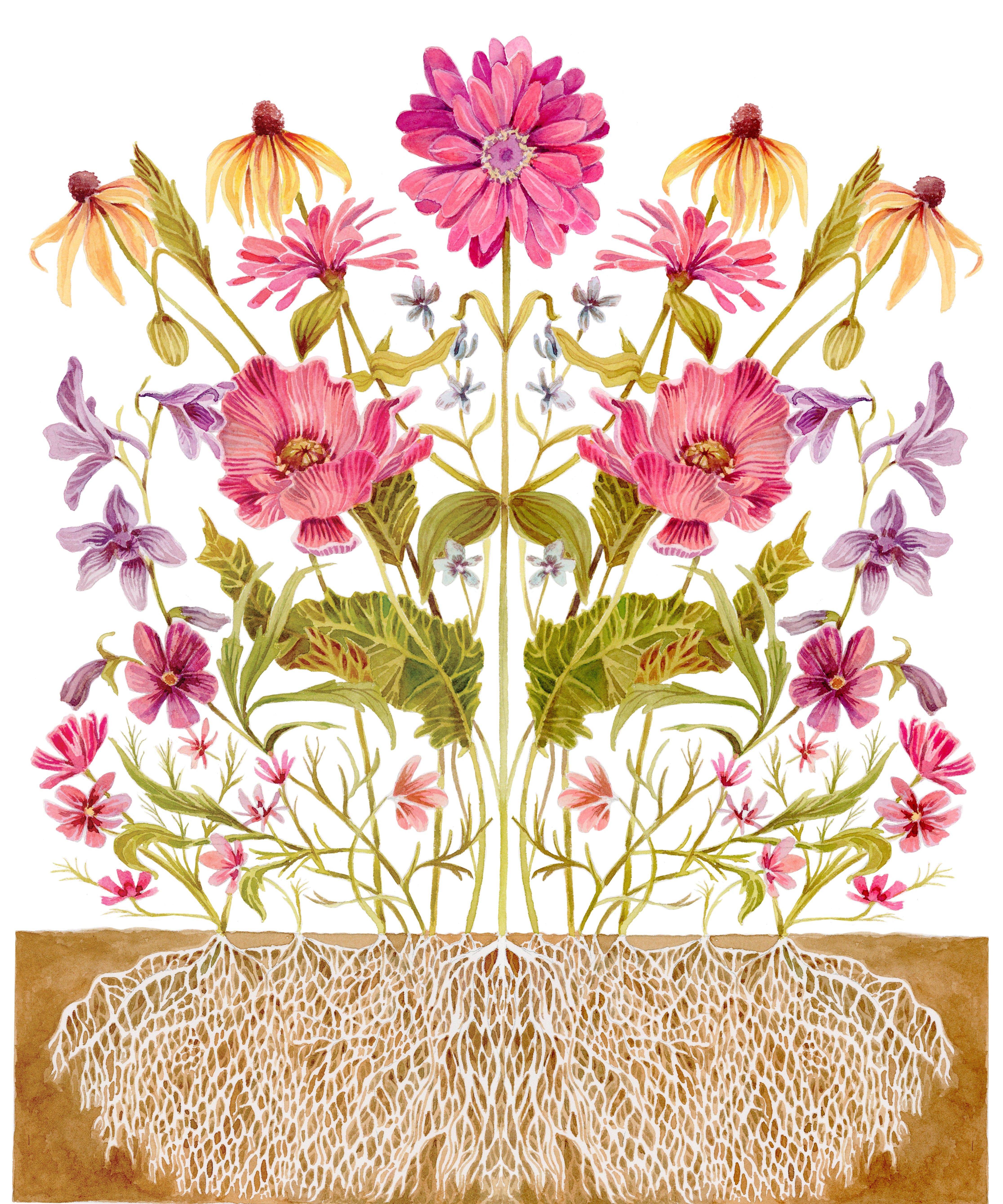 Flower Seed Mix - Cut Flower - Sow True Seed