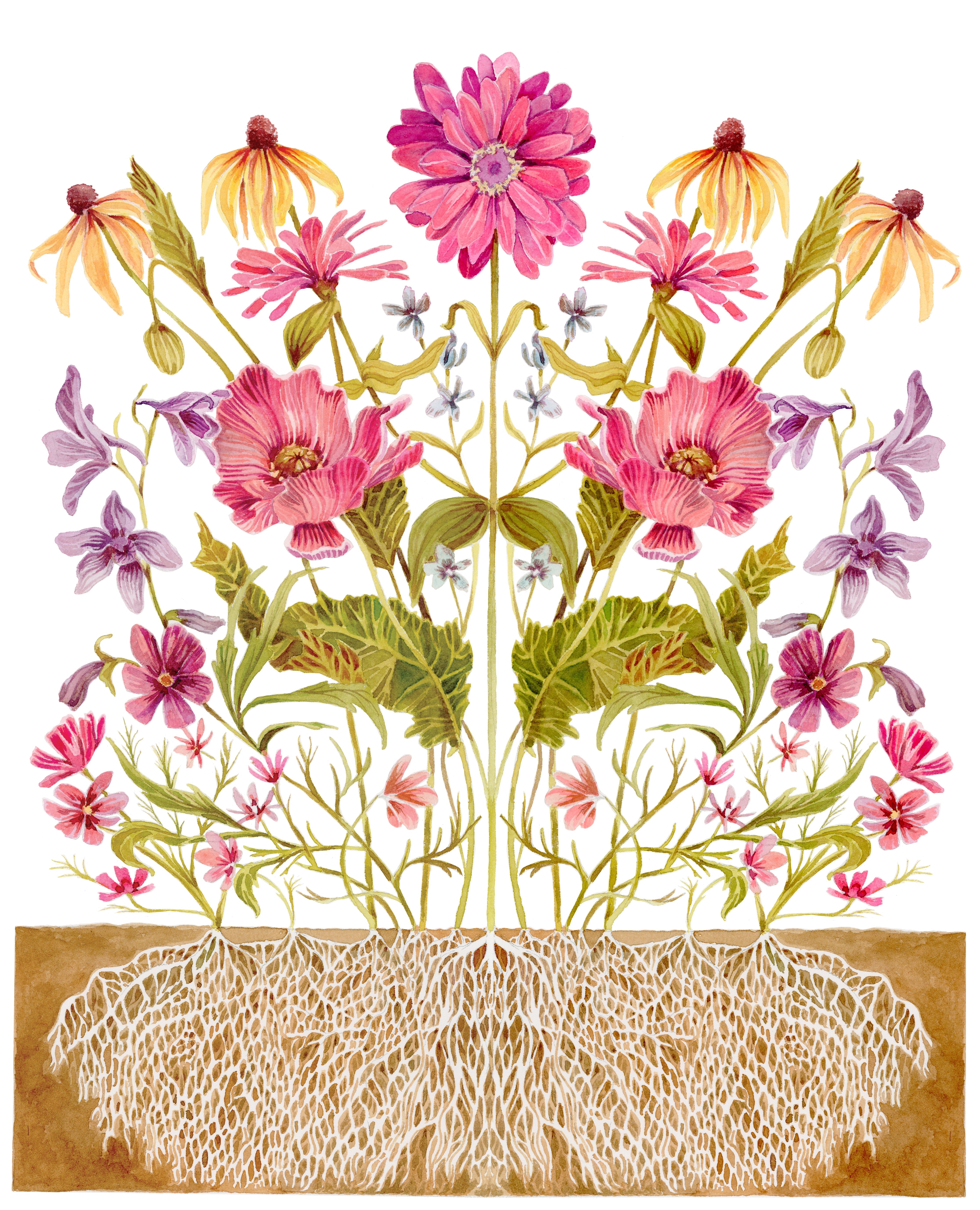cut flower mix seeds Flower Seed Mix - Cut Flower