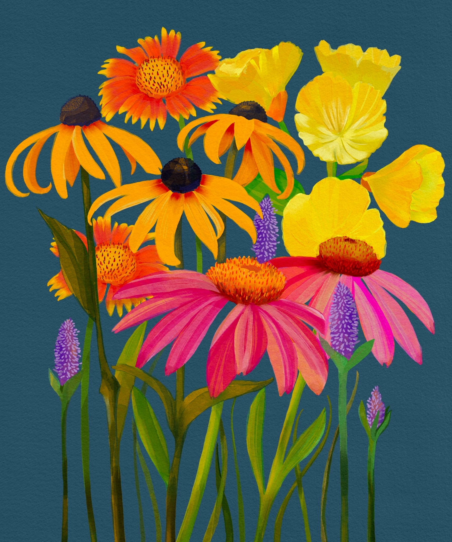 Flower Seed Mix - Midwest Native - Sow True Seed