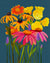 Flower Seed Mix - Midwest Native