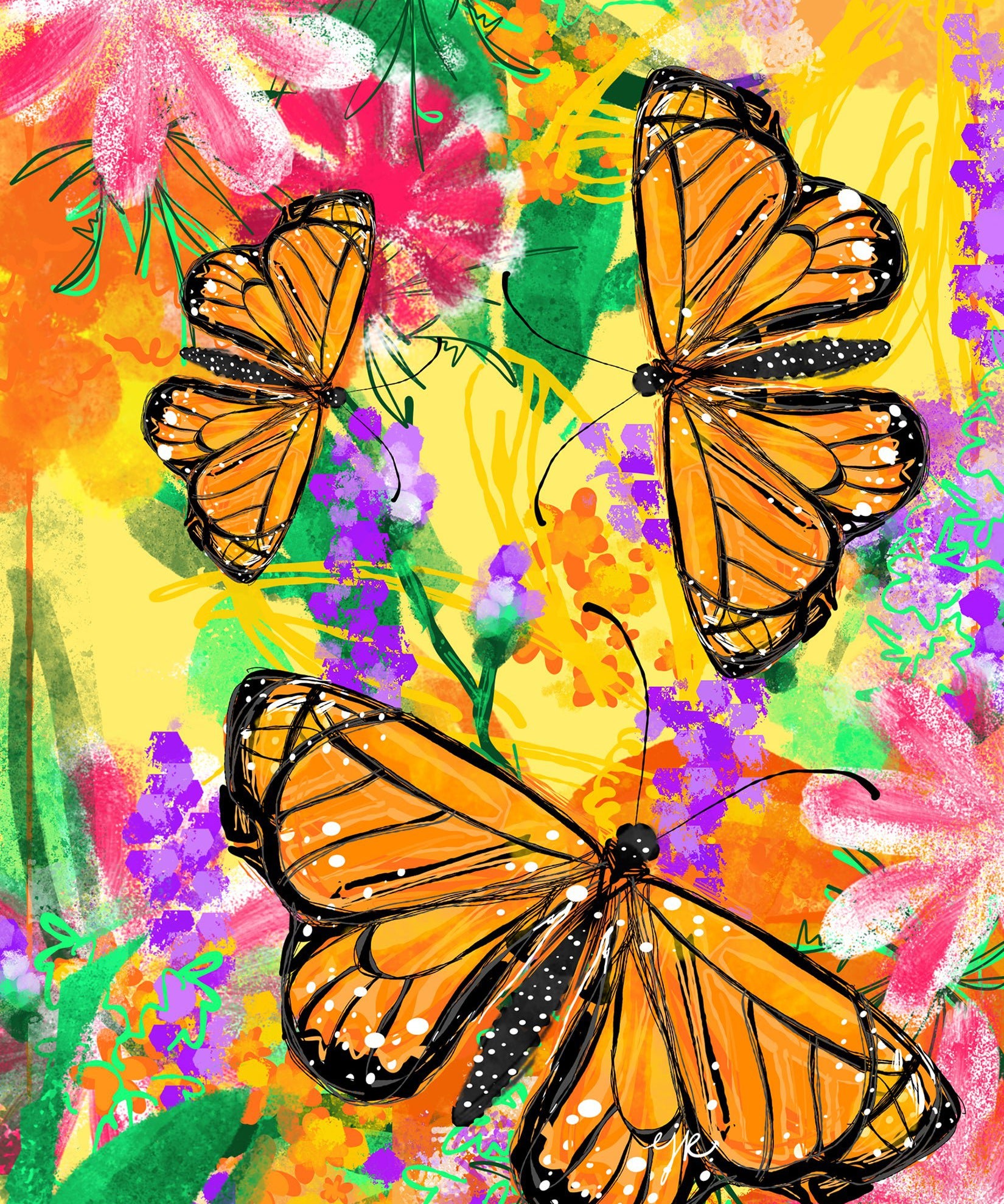 Flower Seed Mix - Monarch Butterfly - Sow True Seed