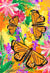 Flower Seed Mix - Monarch Butterfly