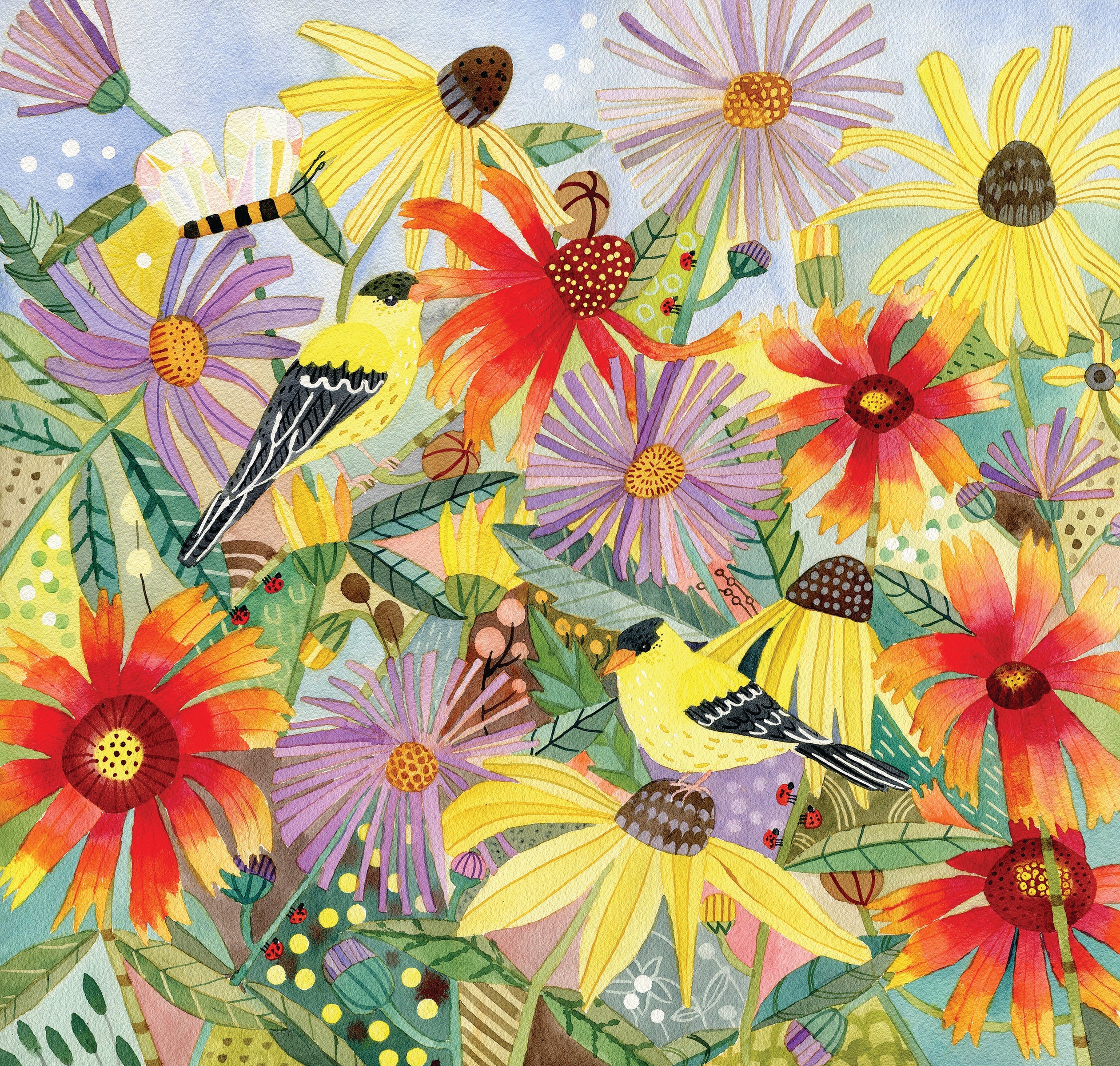 native northeast wildflower seed mix Flower Mix