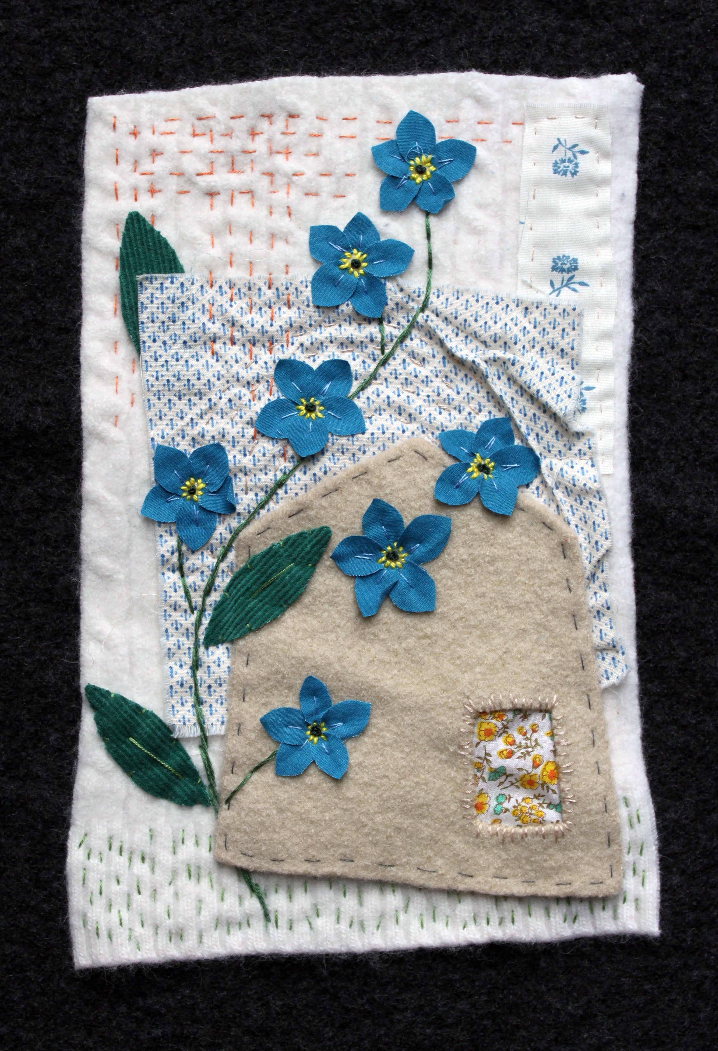 Forget-me-not Seeds - Sow True Seed