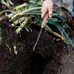 Square Hand Hoe - Sow True Seed