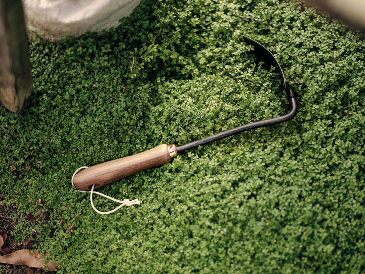 Square Hand Hoe - Sow True Seed