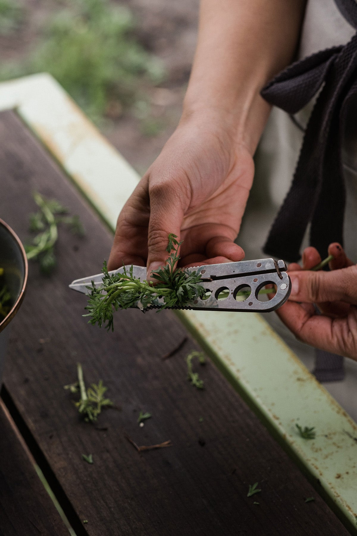 Herb Harvest & Strip Tool - Sow True Seed