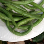 Pole Bean Seeds - Grady Bailly Greasy - Sow True Seed