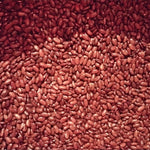 Pole Bean Seeds - Grandma Nellie's Yellow Mushroom - Sow True Seed
