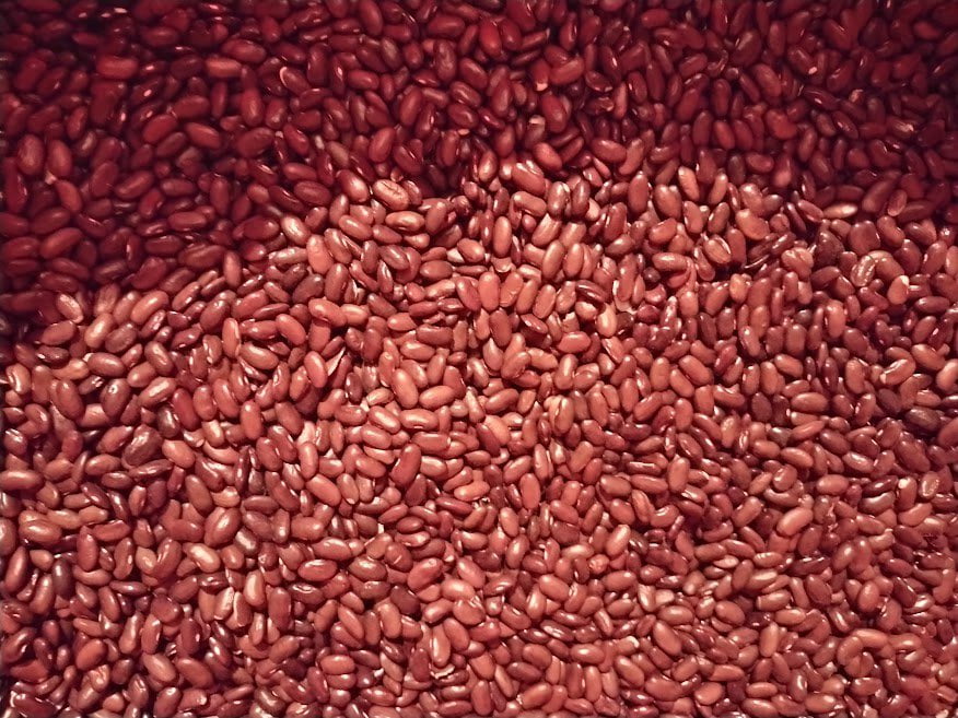 Pole Bean Seeds - Grandma Nellie's Yellow Mushroom - Sow True Seed