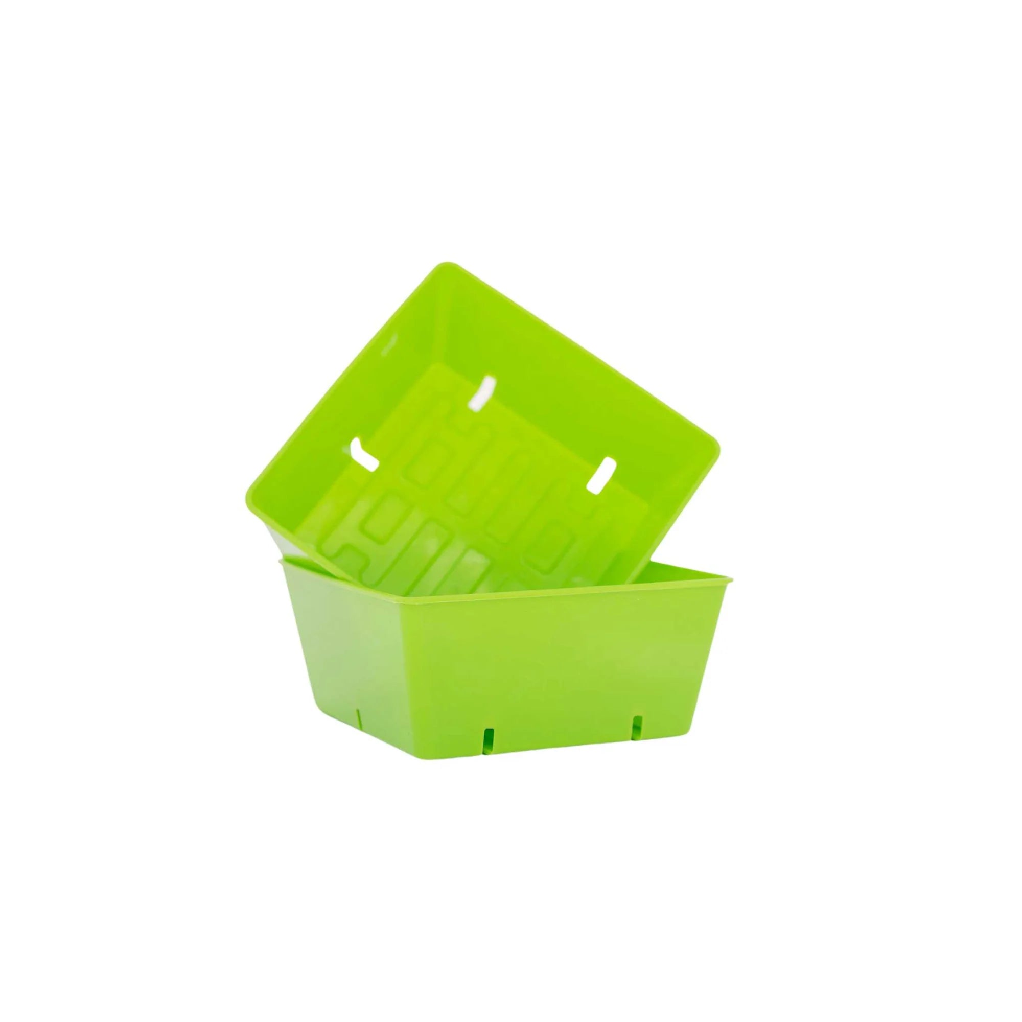 5x5 Micro-green Grow Tray - Sow True Seed