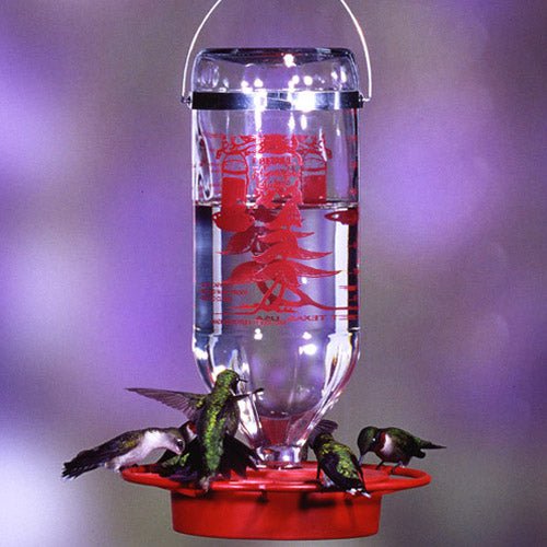 Hummingbird Feeder - Sow True Seed