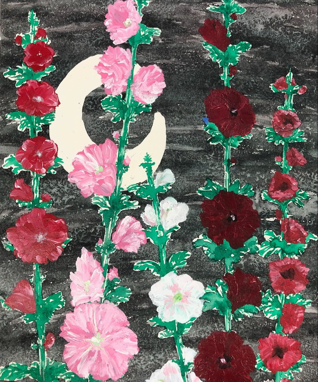 Hollyhock Seeds - Outhouse Mix - Sow True Seed