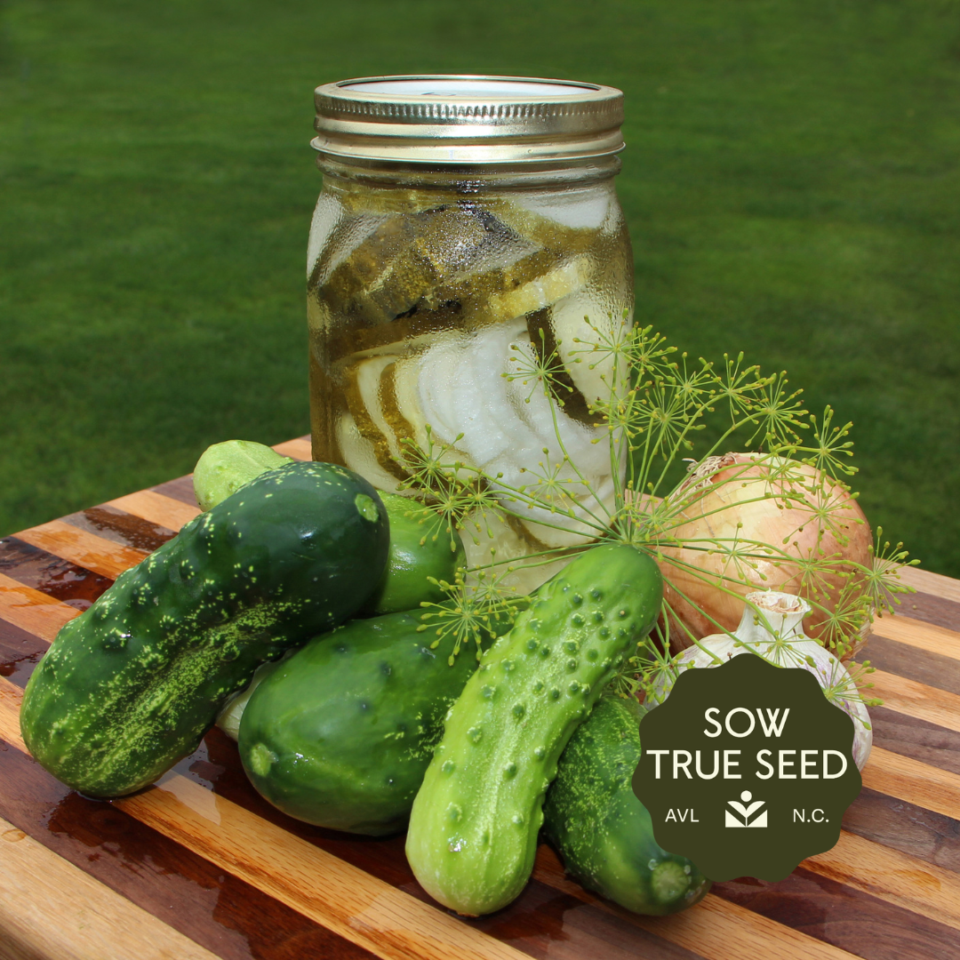 Pickling Cucumber Seeds - Homemade Pickles - Sow True Seed