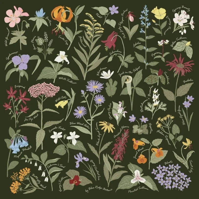 Blue Ridge Botanic Field Guide Bandanas - Sow True Seed