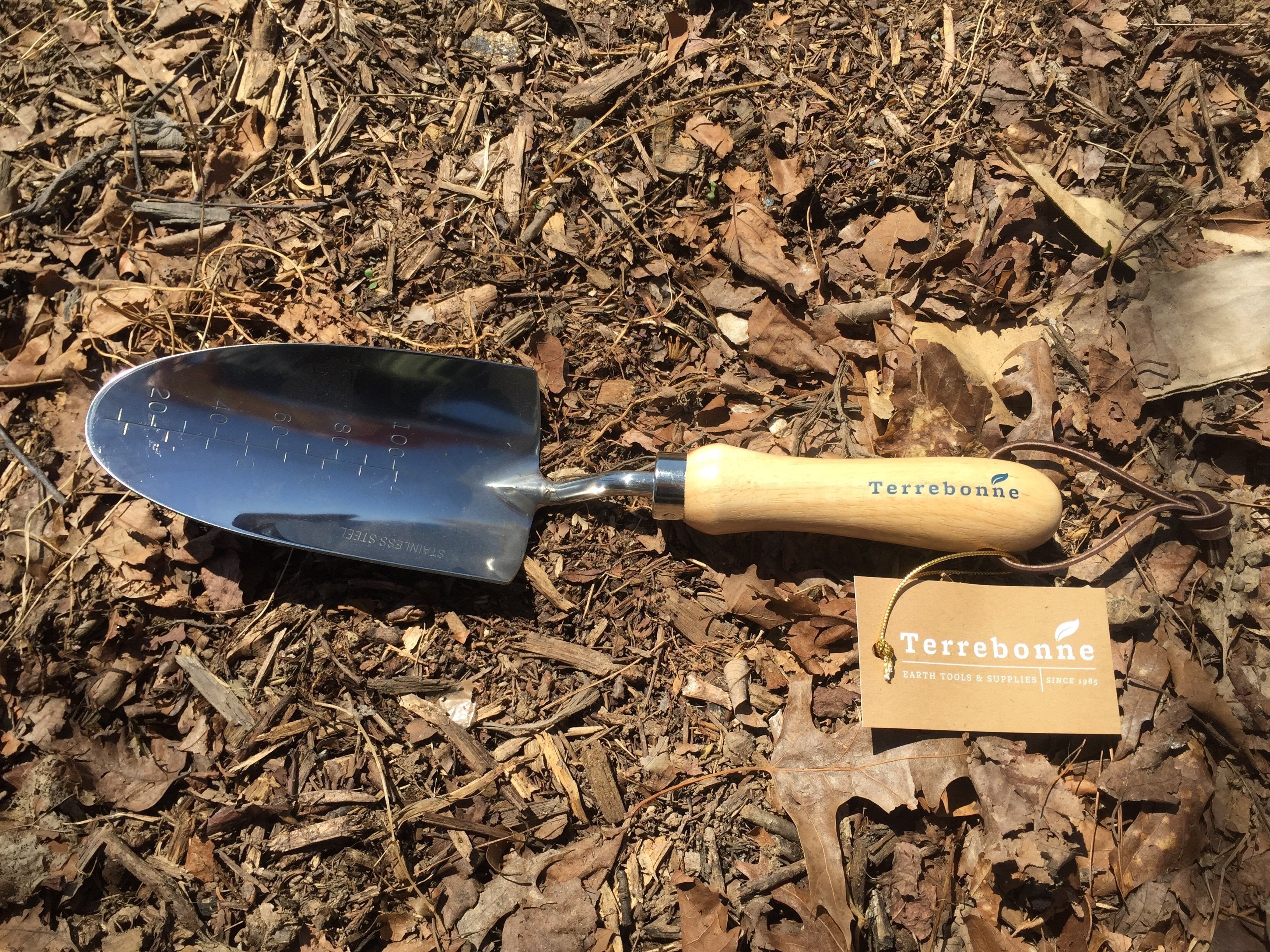 Large Stainless Steel Hand Trowel (TBL/SHT) - Sow True Seed