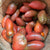 Paste Tomato Seeds - Crimson Cow - Sow True Seed