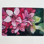 Sandra Moore Cards - Sow True Seed