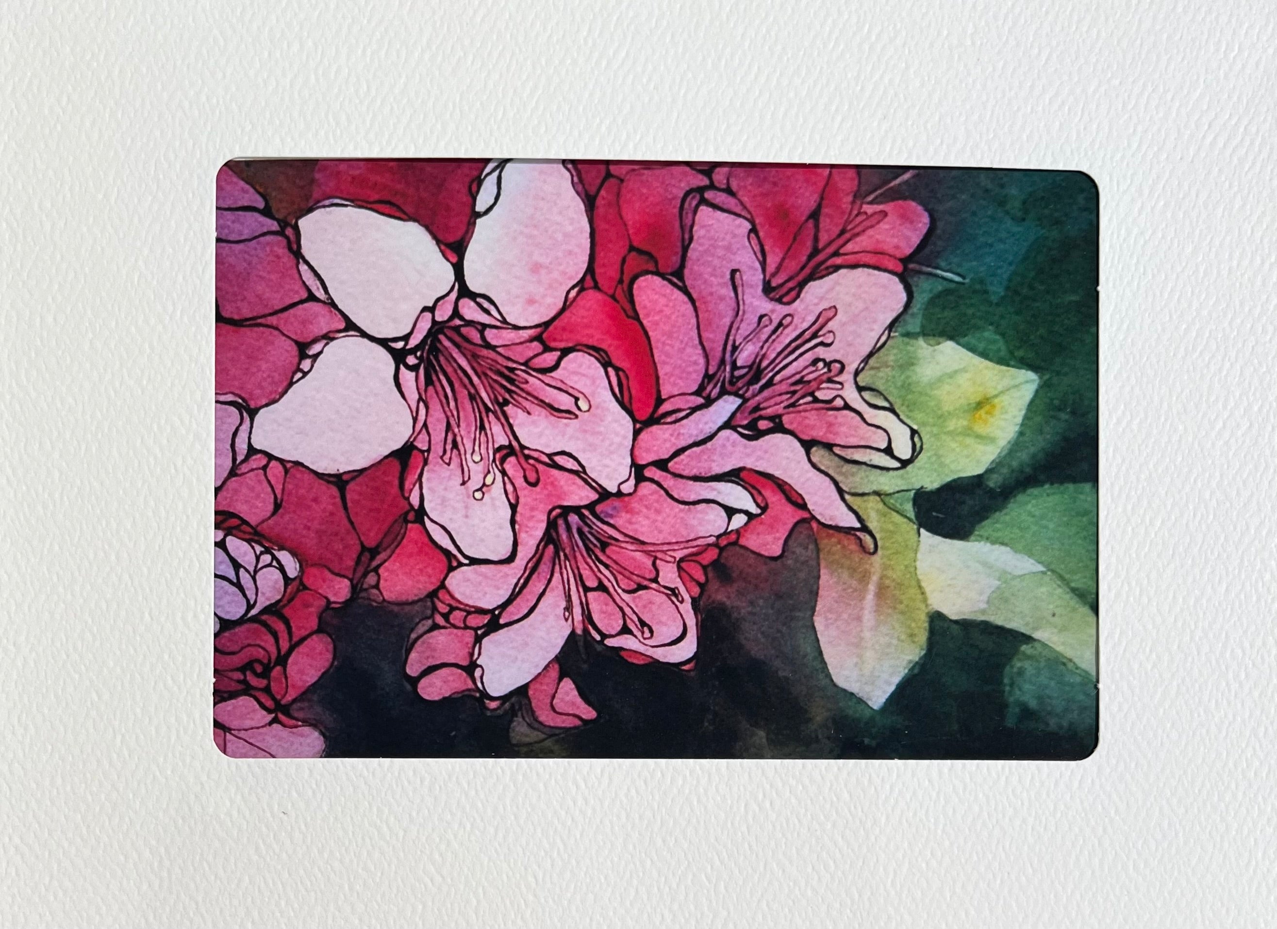 Sandra Moore Cards - Sow True Seed