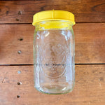 Sprouting Seed Jar with Top (no seed) - Sow True Seed