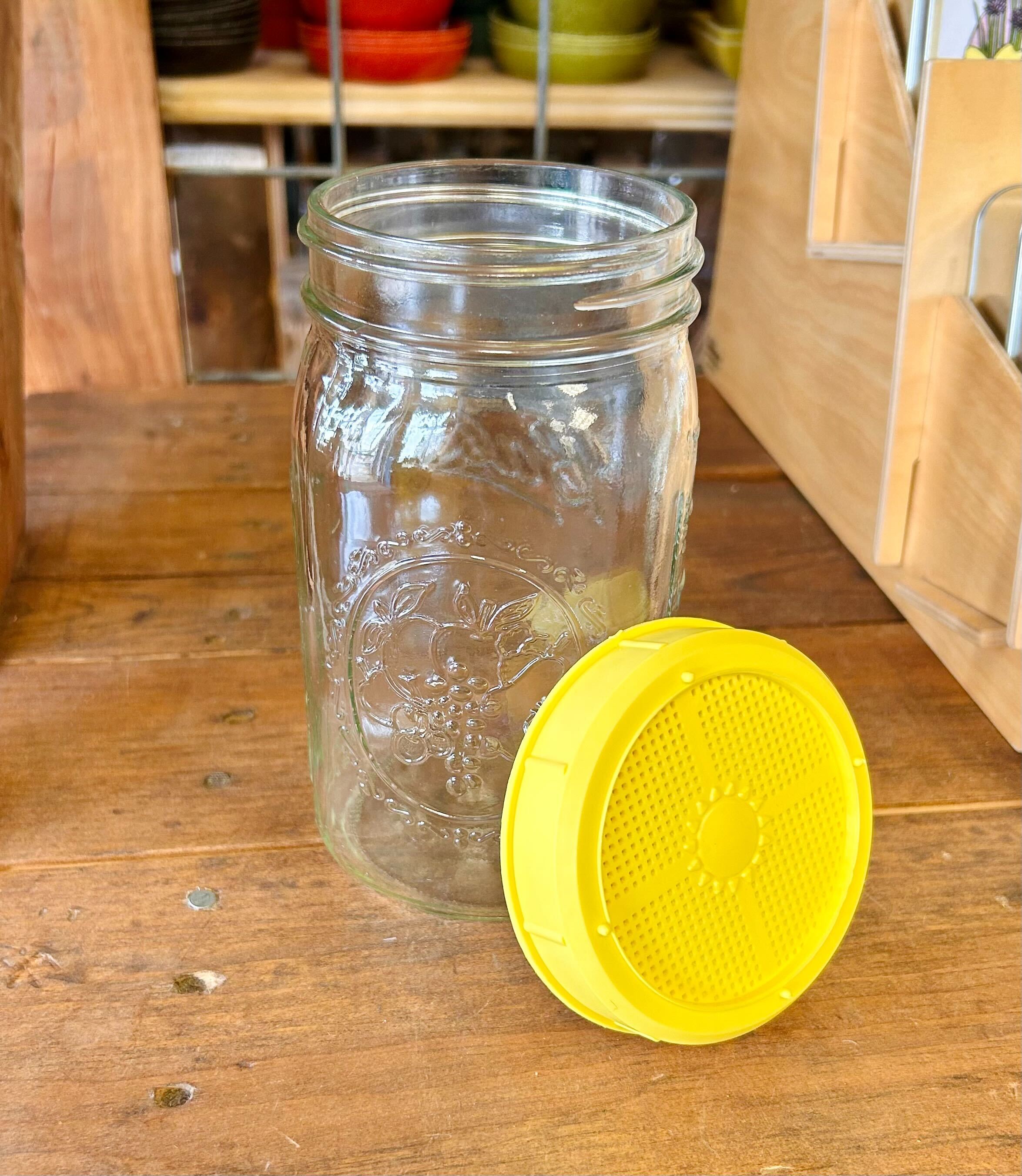 Sprouting Seed Jar with Top (no seed) - Sow True Seed