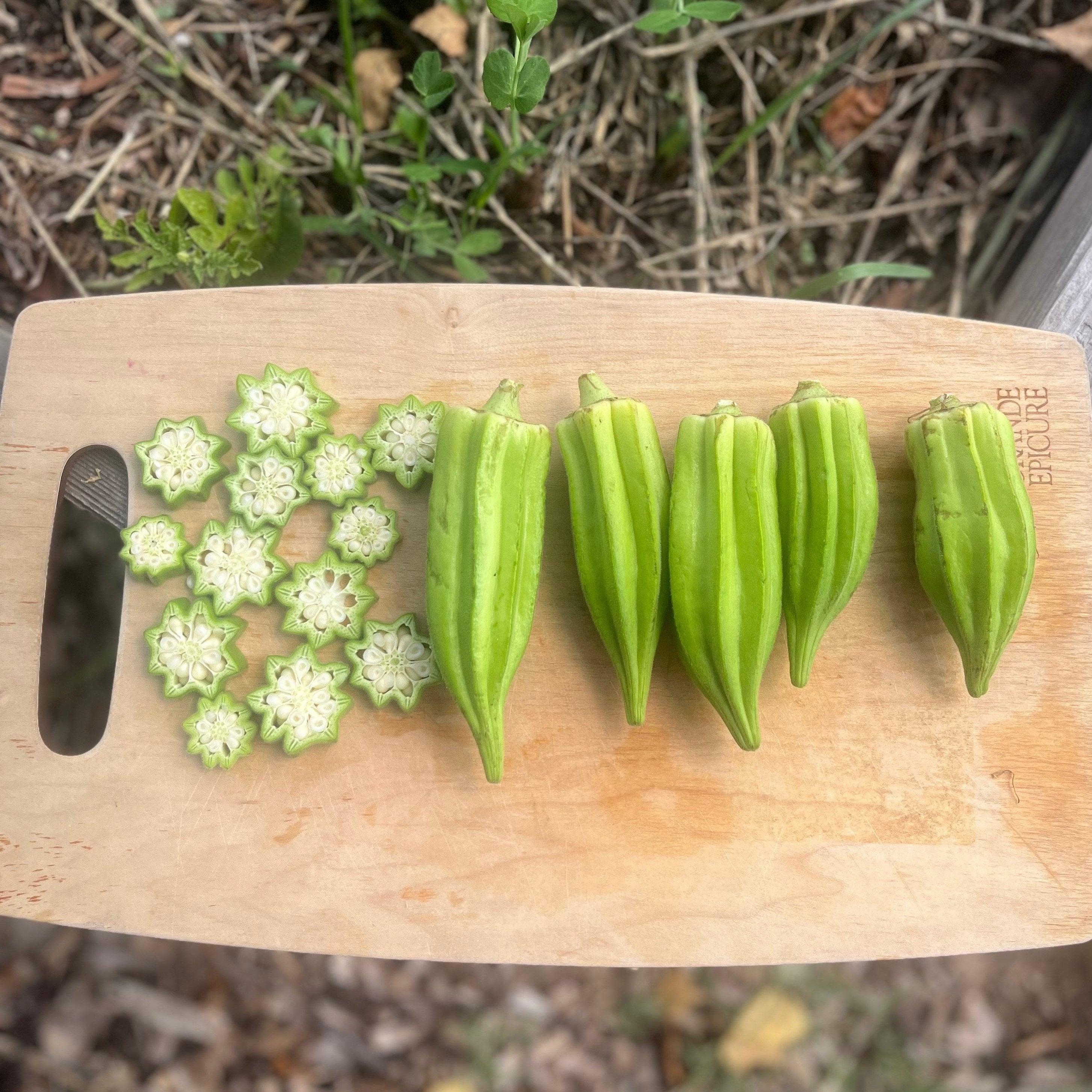 Okra Seeds - Star of David - Sow True Seed