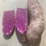 Loretta Blue Sweet Potato Slips - Sow True Seed