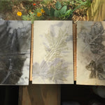 Woodstock Bookstock Handbound Journal - Sow True Seed