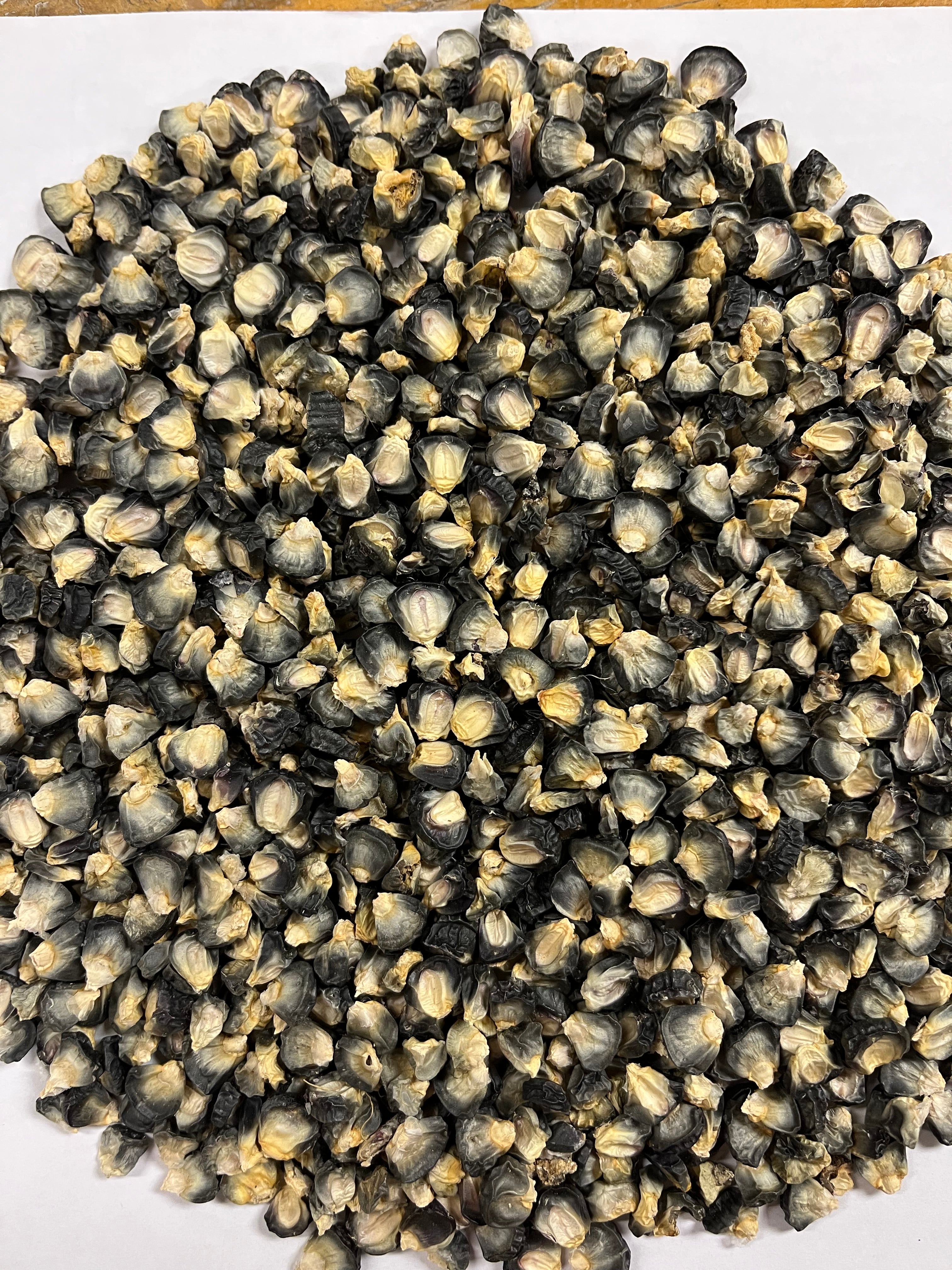 Sweet Corn Seeds - Hjerleid Blue - Sow True Seed