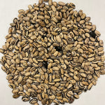 Bush Bean Seeds - Dark Corner - Sow True Seed