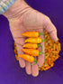 Hot Pepper Seeds - Datil, ORGANIC