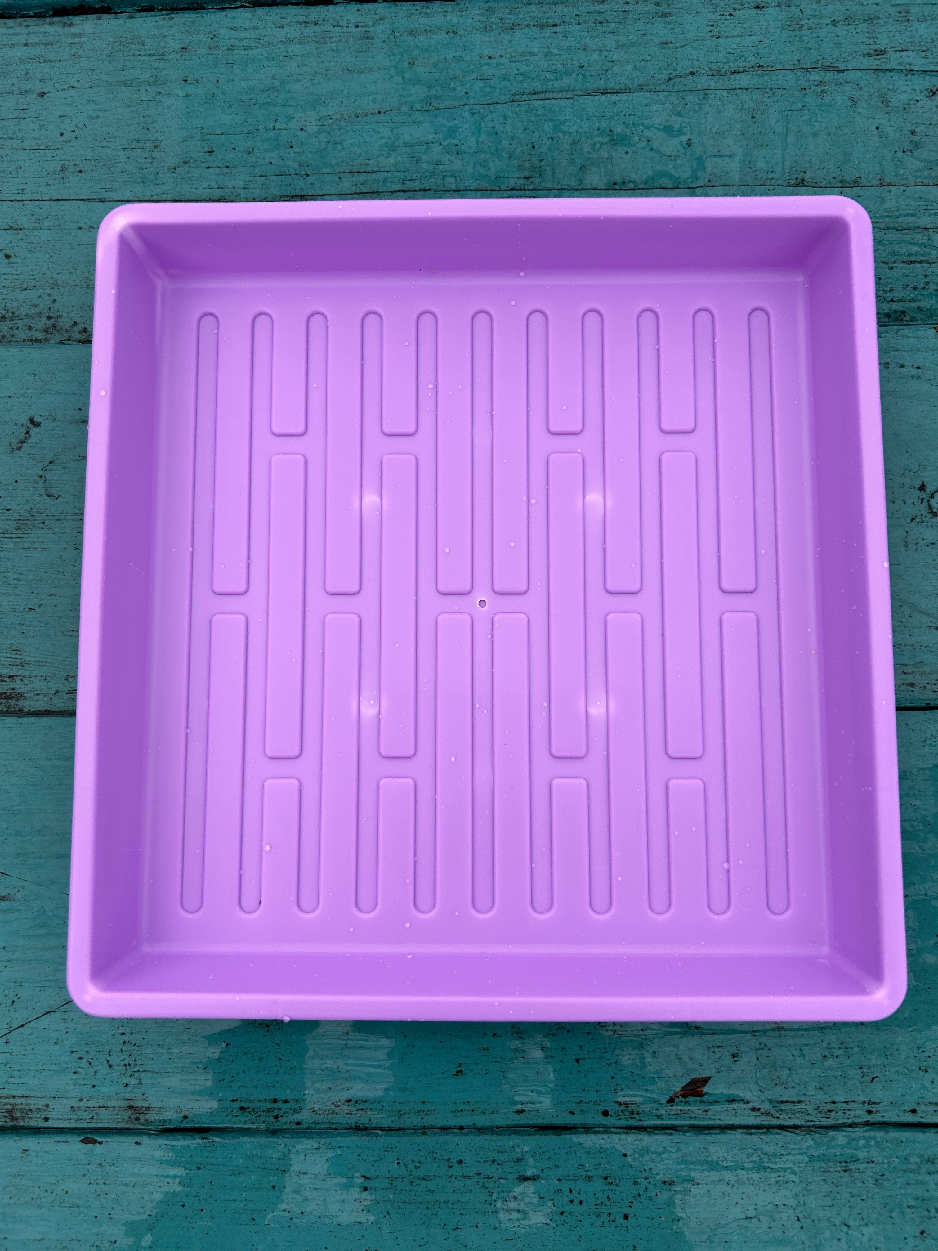 Microgreen Tray 10'' X 10" - Sow True Seed