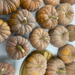 Winter Squash Seeds - Black Futsu - Sow True Seed