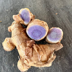 Turmeric Rhizomes - Blue / Black, 8 oz - Sow True Seed
