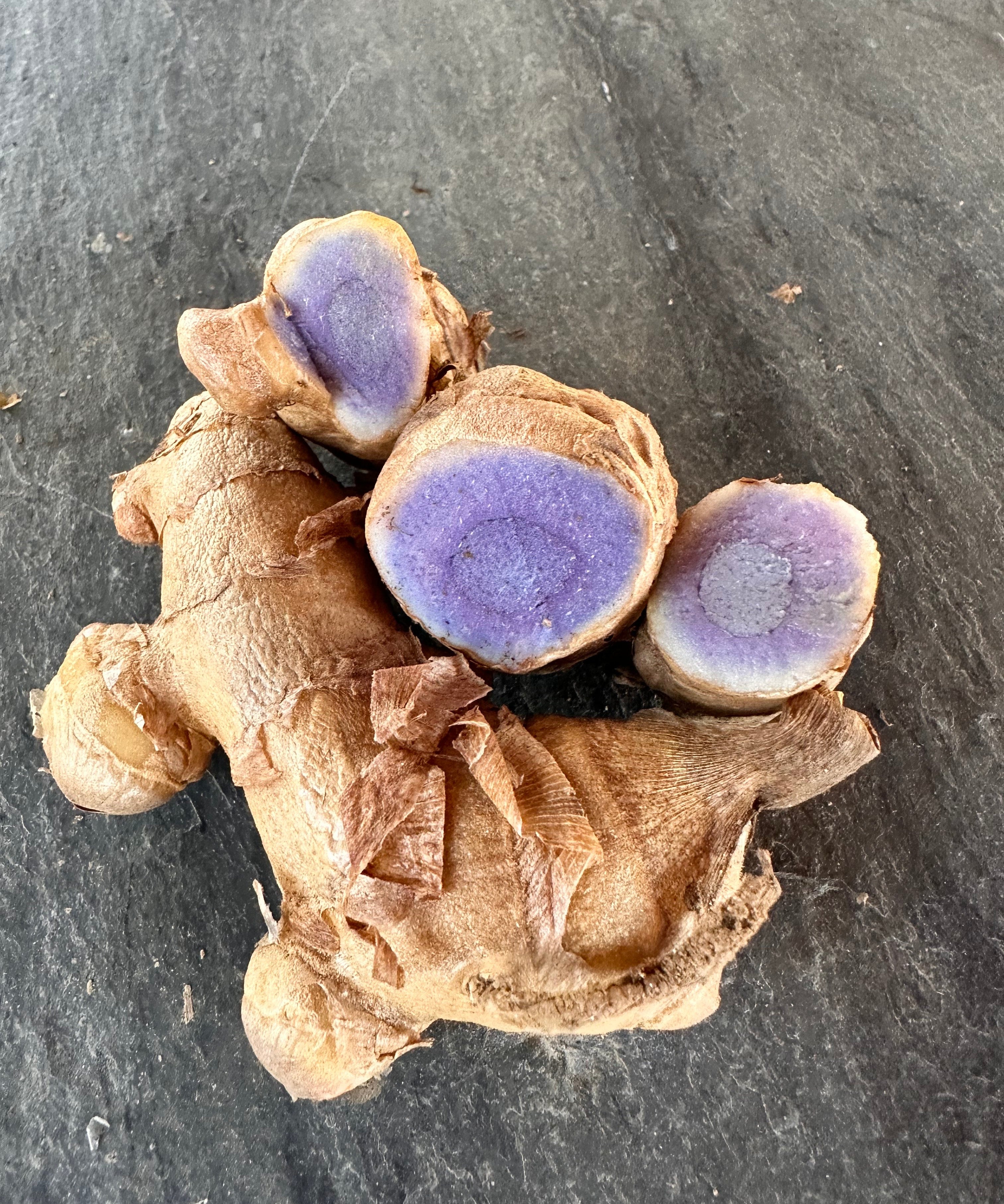 Turmeric Rhizomes - Blue / Black, 8 oz - Sow True Seed